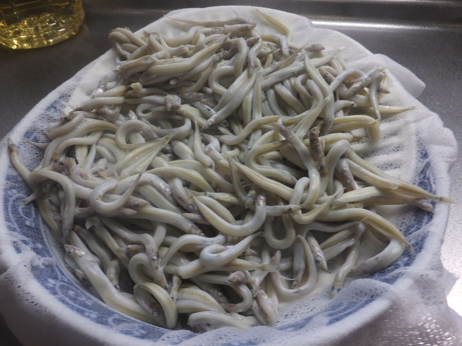 お終いかな Kayotokuのblog4 お終いかな Kayotokuのblog4