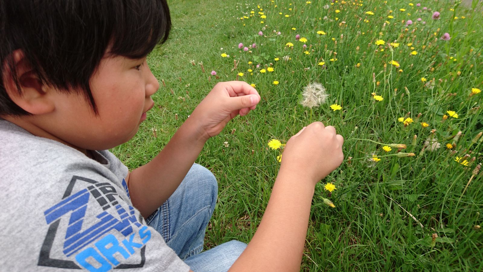 １００円のくじで Kayotokuのblog4