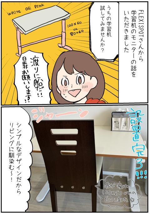 FlexiSpot2
