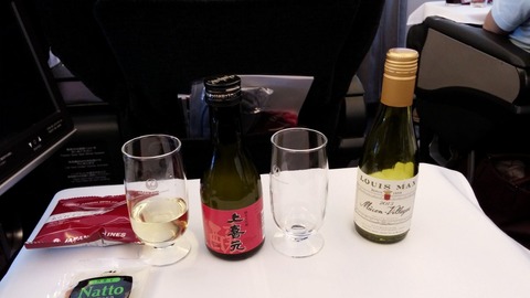 20160129hikoki1