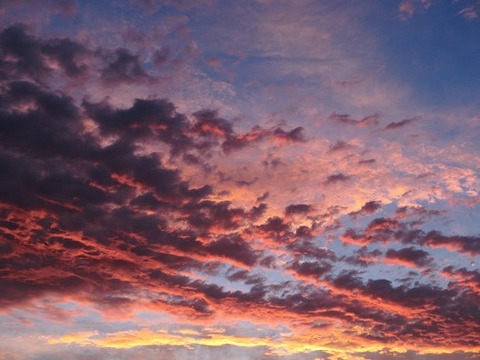 smp20120620-20 (2)