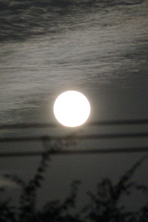 smp20150928-10 (2)