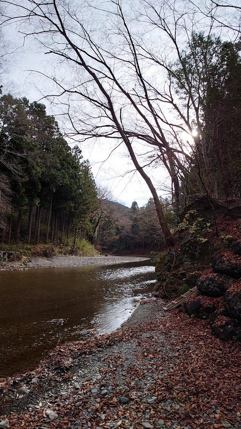 Blog2021.12.18Haraichiba (3)