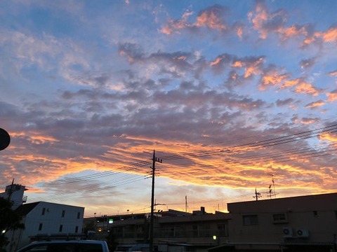 smp20120620-20 (1)