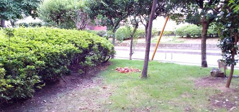 CAM00142
