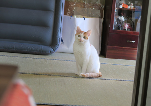 bochiblog20180306-10 (2)