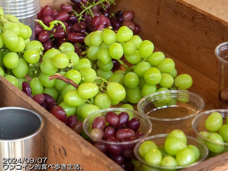 ¢¥Õ¥ÈÇþ¼ò¥¦¥©¡¼¥¯2024 (3)