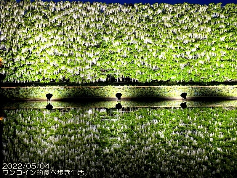 あしかがフラワーパーク