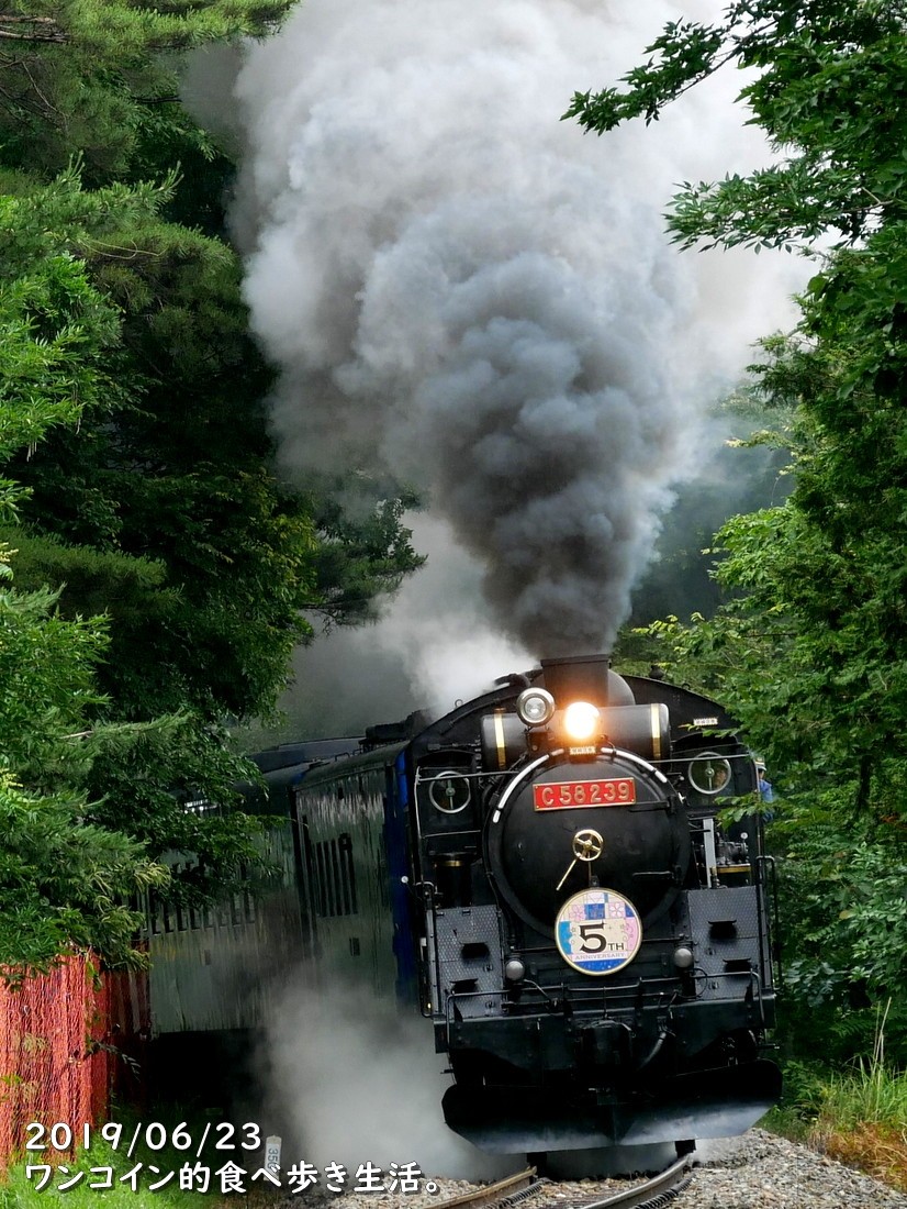 出川哲朗さんもコーフンした Sl銀河 上り列車を洞泉駅 釜石線 で待ってみた ワンコイン的食べ歩き生活