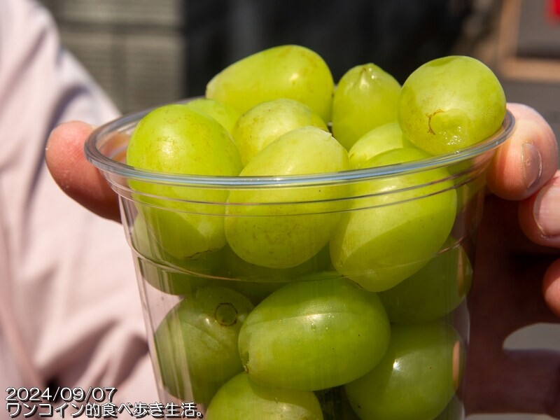 ¢¥Õ¥ÈÇþ¼ò¥¦¥©¡¼¥¯2024 (15)