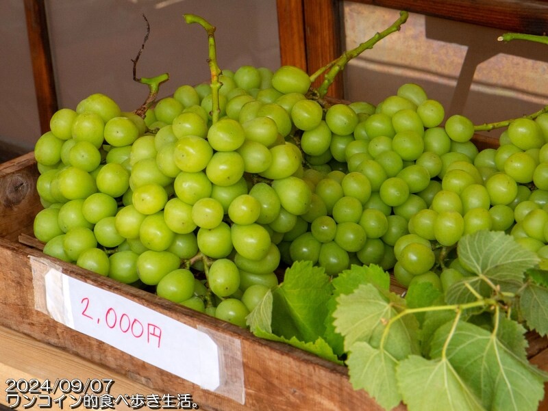 ¢¥Õ¥ÈÇþ¼ò¥¦¥©¡¼¥¯2024 (2)