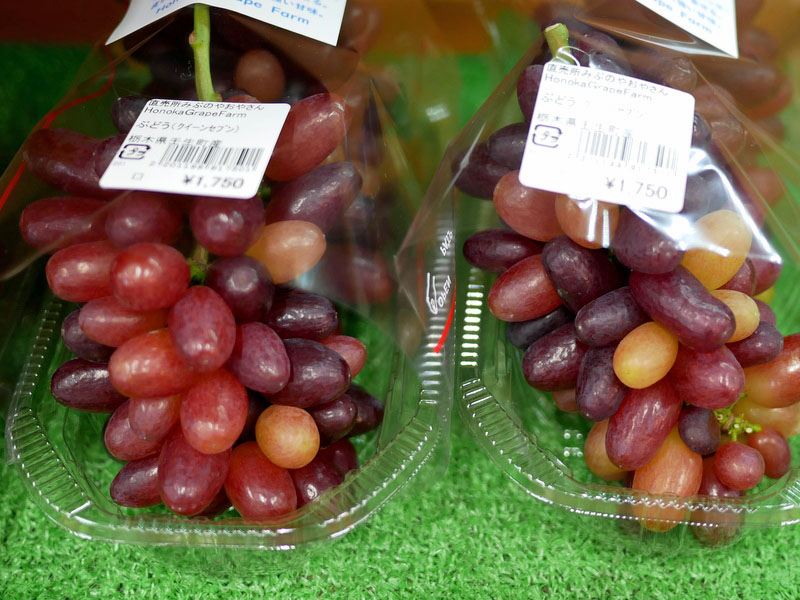 Æ»¤Î±Ø¤ß¤Ö¡¦ÇÀ²È¤ÎľÇä½ê (1)