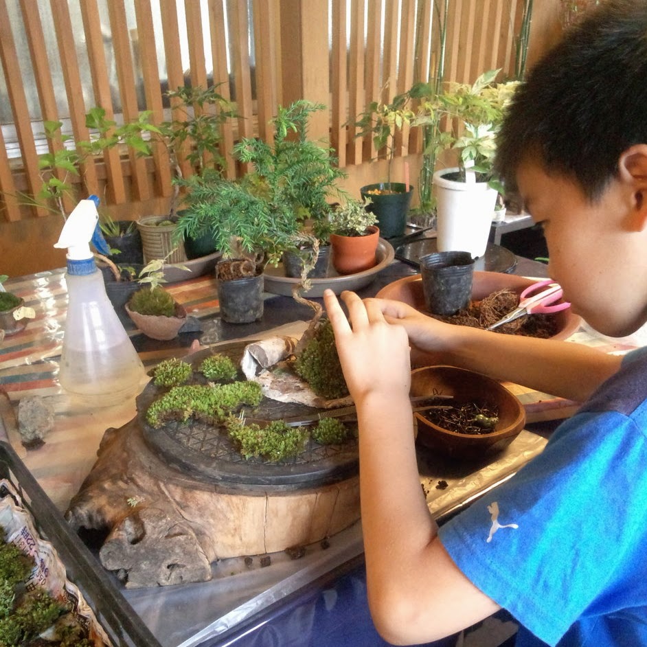 子供たちとコケ玉作り体験をしませんか 苔玉工房 風花