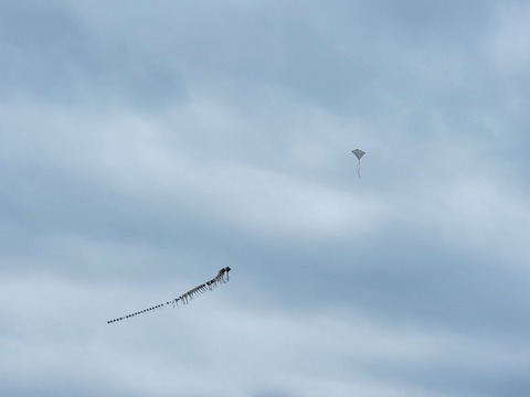 20230121_145007