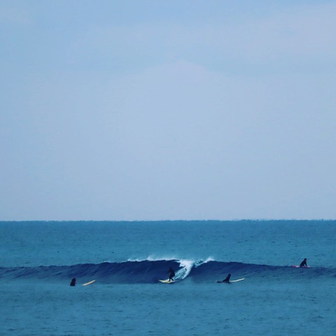 IMG_20200203_202745_210