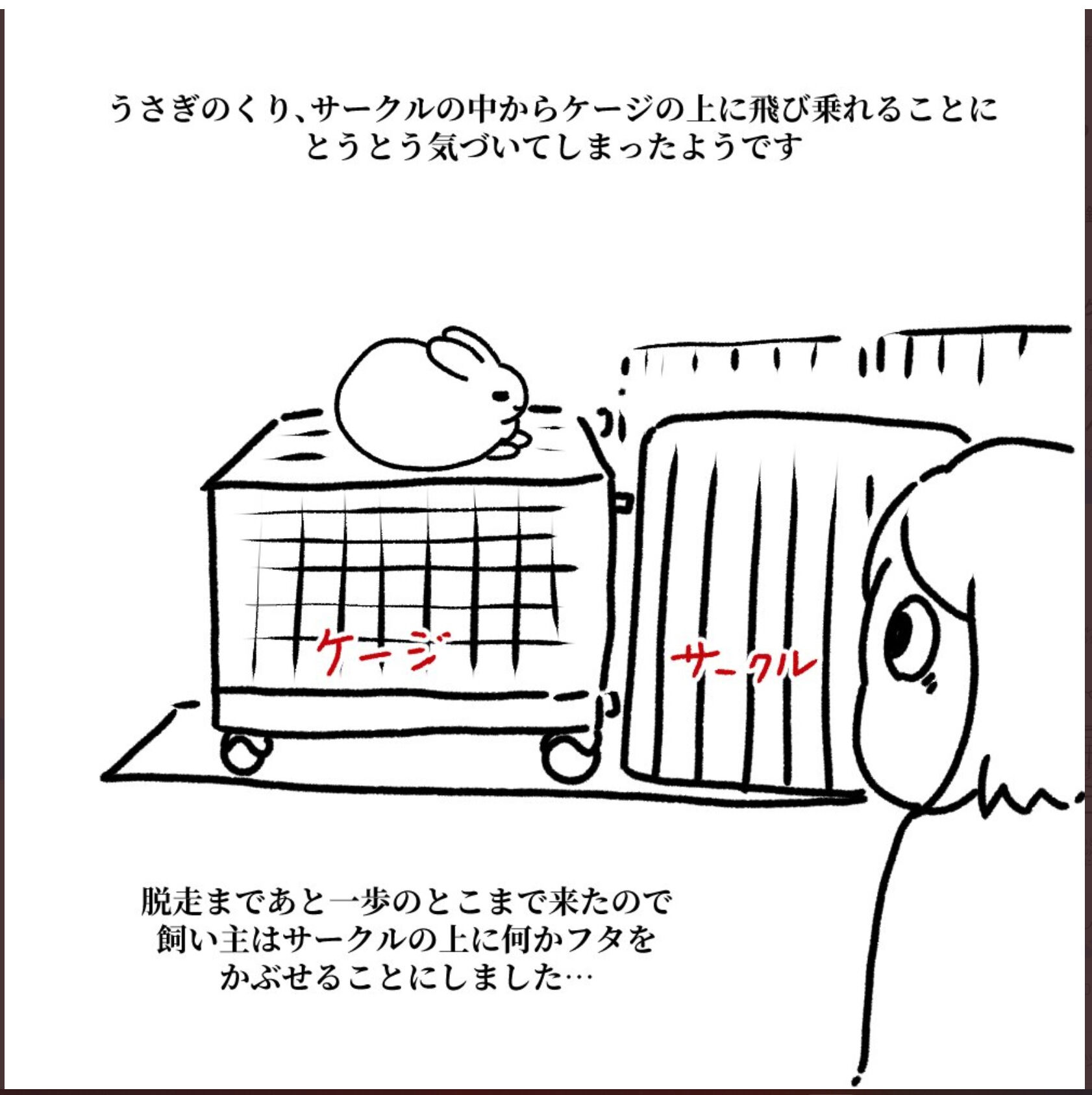 1コマネーム(たいせんべいさん)