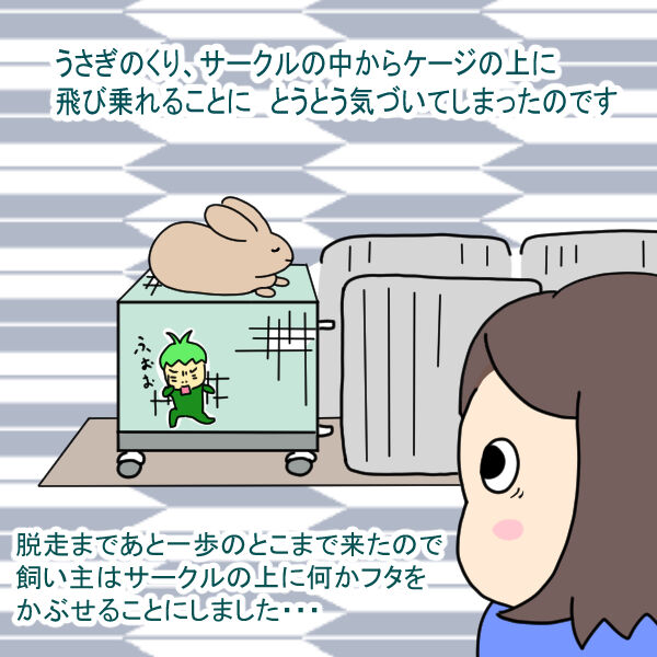 たいせんべいさん用