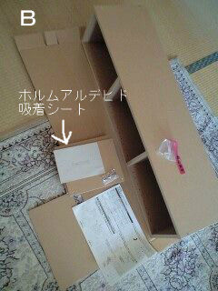 パルプボードボックス 犬の鼻を持ったまま O ェ O 犬の鼻はたいへんだー