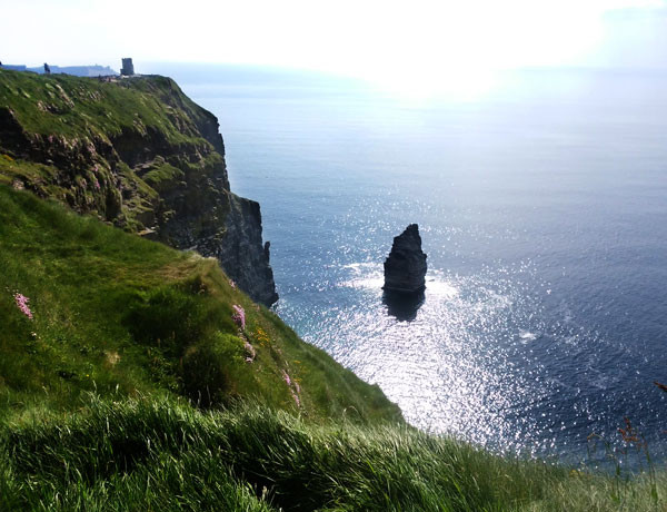 moher007