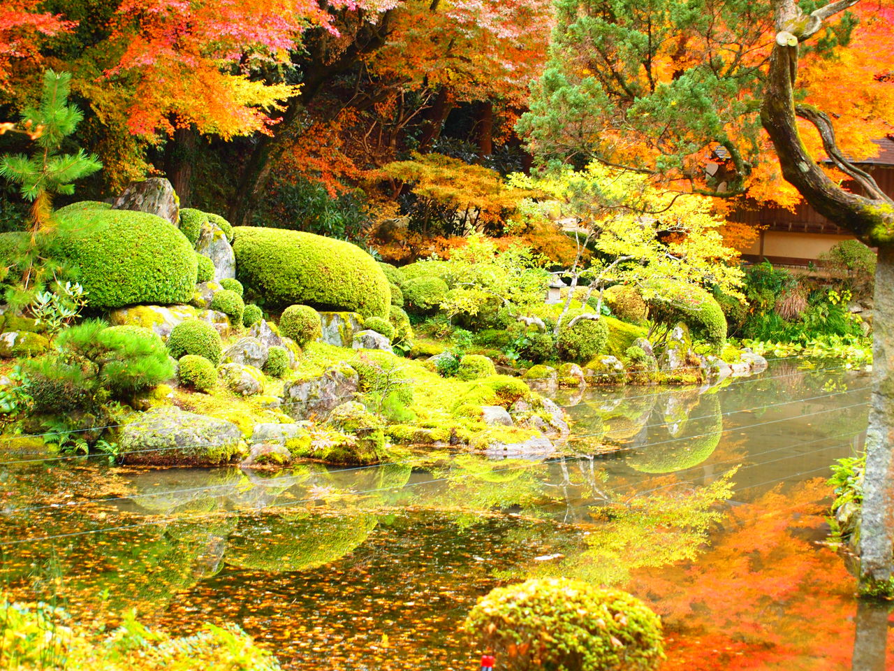 紅葉を追って 雷山千如寺 雷山神社 白糸の滝 風に吹かれて 気ままな日記 紅葉を追って 雷山千如寺 雷山神社 白糸の滝 風に吹かれて 気ままな日記
