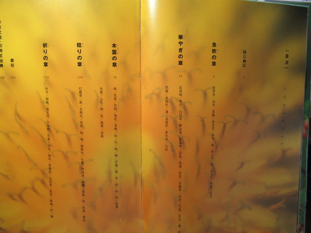 花とみどりのことのは 1619 風がページをめくる 読書散歩 花とみどりのことのは 1619 風がページをめくる 読書散歩