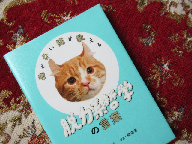 考えない猫が教える 脱力系哲学の言葉 原田まりる著 87 風がページをめくる 読書散歩 考えない猫が教える 脱力系哲学の言葉 原田まりる著 87 風がページをめくる 読書散歩