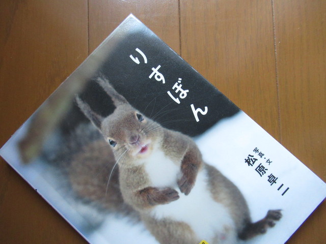 りすぼん 松原卓二著 1765 風がページをめくる 読書散歩