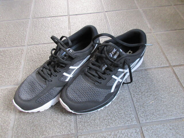 アシックス ゲルフェザーグライド5インプレ 風を感じて２