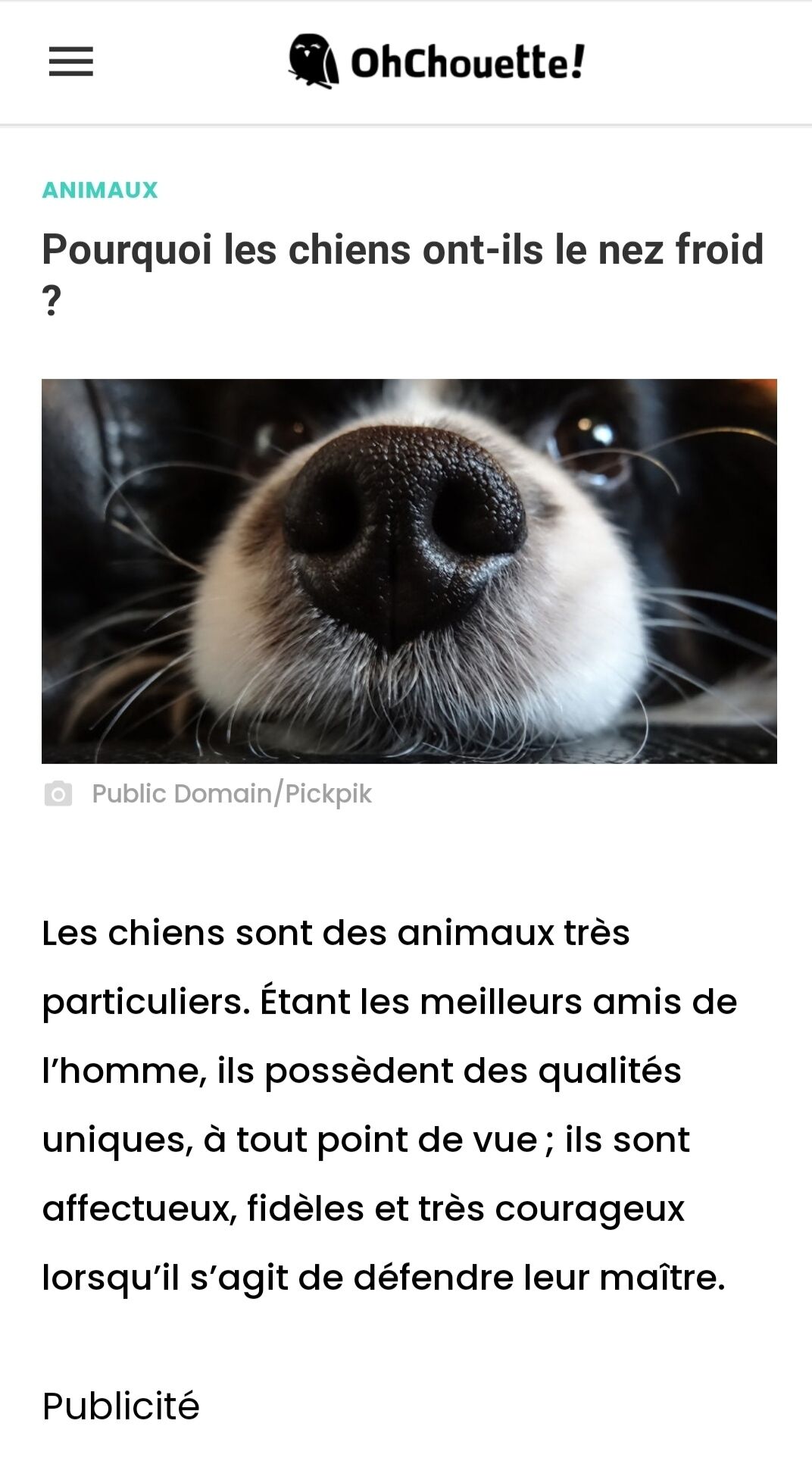 犬の鼻はなぜ冷たいのか 子育てダンサーkazmagnumの フランス語つまみ食い生活 海外時事ニュース 犬の鼻はなぜ冷たいのか 子育てダンサーkazmagnumの フランス語つまみ食い生活 海外時事ニュース
