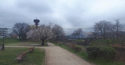 20200328_120035