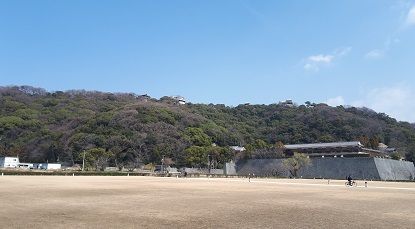 20190226_123610