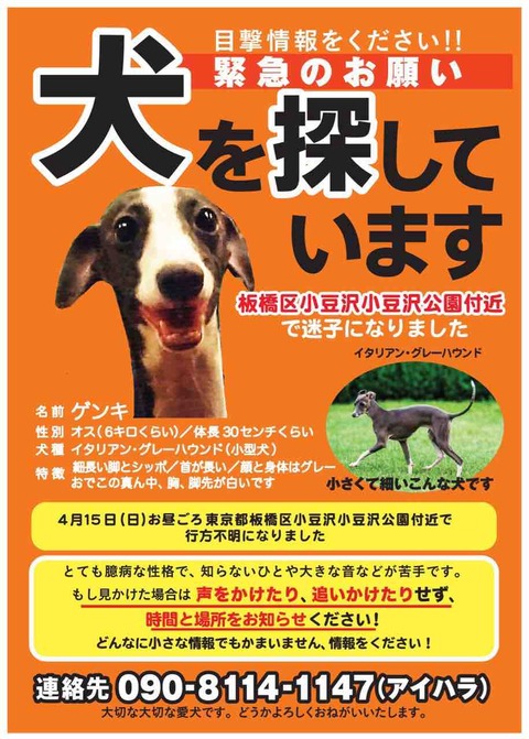 イタグレ るち男とふぁび男のぽんにゃりらいふ 18年04月18日