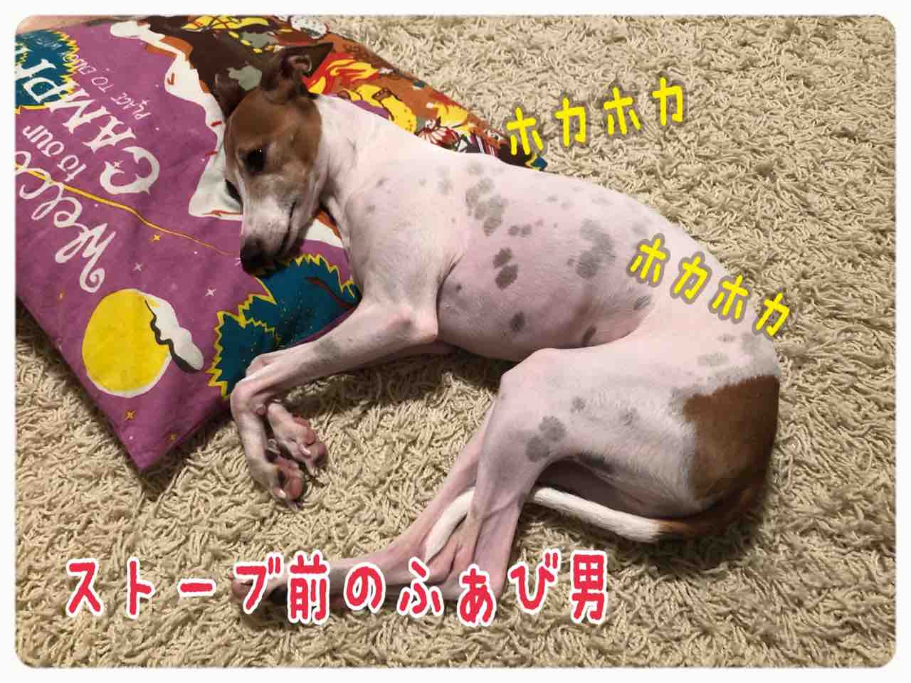あぶーくたったにえたったふぁび男 イタグレ るち男とふぁび男のぽんにゃりらいふ