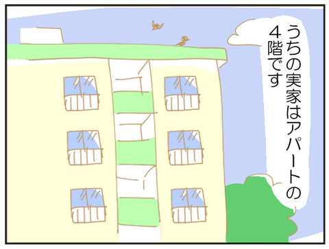 里帰り出産 実家の階段が辛すぎて 家族のあしあと