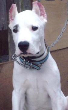 1月19日 武蔵野大学通信教育部入試書類選考 家族心理 Com 管理人ブログ