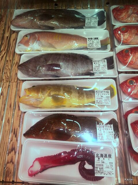 珍しい魚 はたオンパレード ご機嫌なひととき 珍しい魚 はたオンパレード ご機嫌なひととき