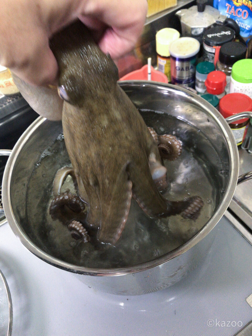 まだこ釣果と下ごしらえ ご機嫌なひととき まだこ釣果と下ごしらえ ご機嫌なひととき