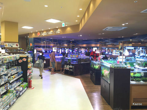 ロイヤルホームセンター 深谷店オープン ご機嫌なひととき ロイヤルホームセンター 深谷店オープン ご機嫌なひととき