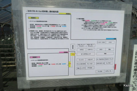 伊豆ドライブ かわづカーネーション見本園 その５ ご機嫌なひととき