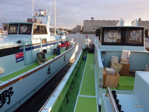 野毛屋 アオリイカ 修行の身 ご機嫌なひととき