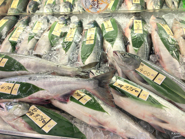 鮭の買出し ご機嫌なひととき 鮭の買出し ご機嫌なひととき