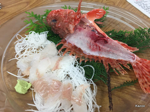 丸入水産 至極の活魚 刺身てんこ盛り 真鶴 ご機嫌なひととき