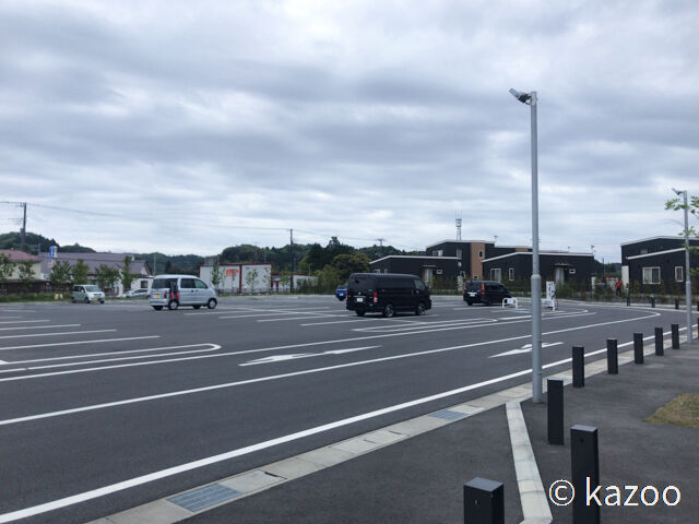 山口農園 今年もやって来たー タケノコ狩り その１ ご機嫌なひととき