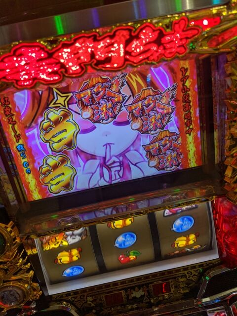 MVIMG_20200518_143940