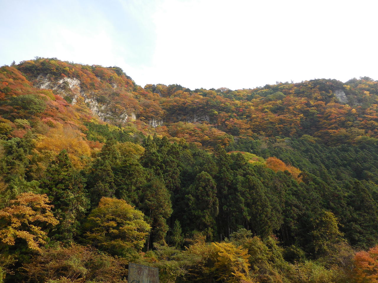香落渓の紅葉 三重県 今日も中庸 香落渓の紅葉 三重県 今日も中庸