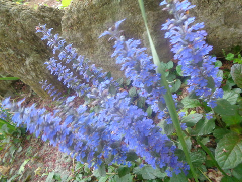 DSC01997