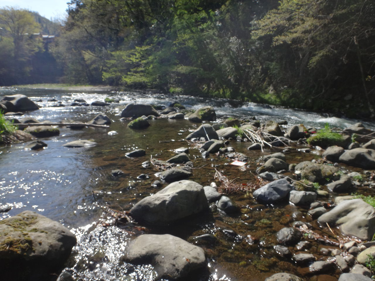山梨県桂川渓流釣り まんまるblogの食べて遊んでパワーアップ