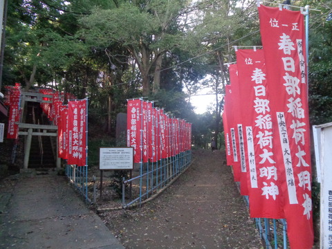 DSC05838