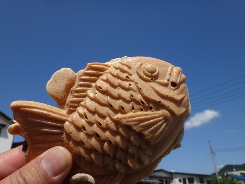 DSC02296