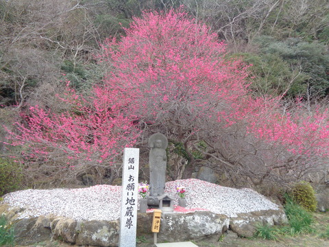 DSC01151